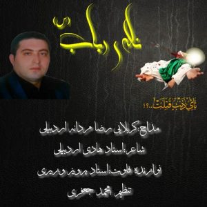 دانلود مداحی ناله ی رباب از کربلایی رضا مردانی اردبیلی